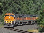 BNSF 105